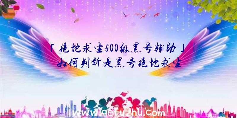 「绝地求生500级黑号辅助」|如何判断是黑号绝地求生